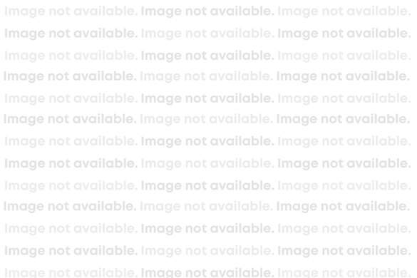 Image Not Available Widgety 18P 2026 version.jpg